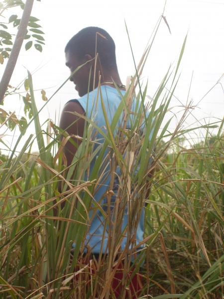 Wanted aka makakel, lol